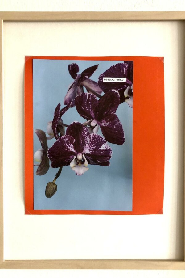 Ondřej Homola, Nezapomeňte, 2021, z volného cyklu Sunday club, vyvolávací cena 9000,-